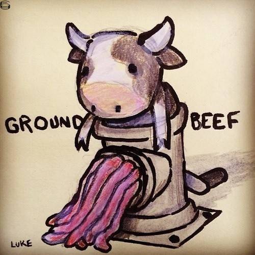 Ground Beef 13