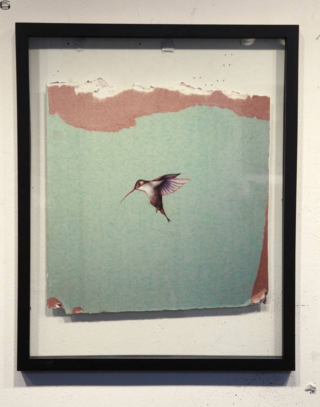 Hummingbird Fragment Print #1