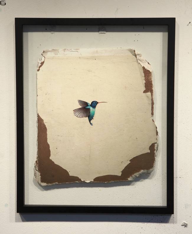 Hummingbird Fragment Print #2