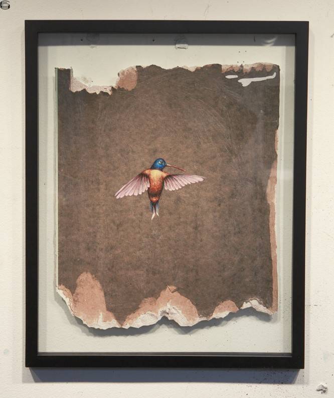 Hummingbird Fragment Print #3