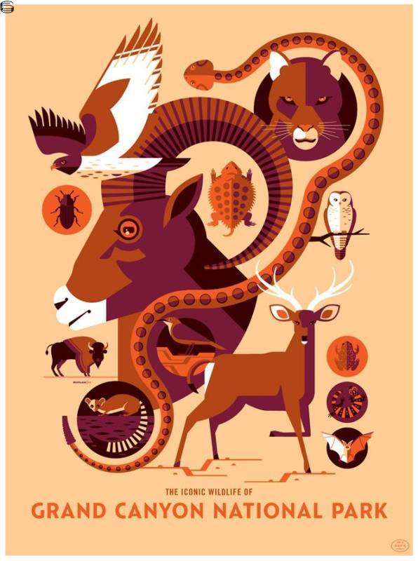 Tom Whalen - Iconic Wildlife of Grand Canyon National Park