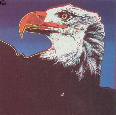 II.296: Bald Eagle 83