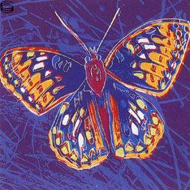 II.298: San Francisco Silverspot 83