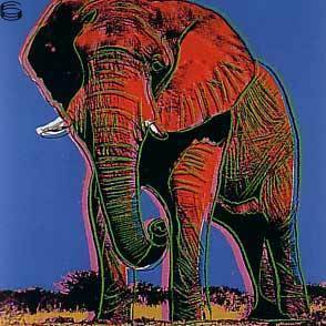 IIB.293-TP13.30: African Elephant 83