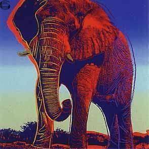 IIB.293-TP15.30: African Elephant 83