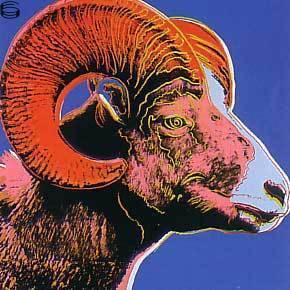 IIB.302-TP15.30: Bighorn Ram 83