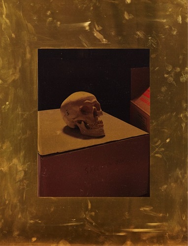 Roe Ethridge - Untitled - First Edition