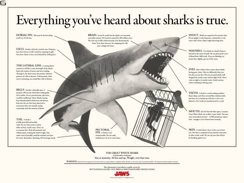 Jaws Infographic