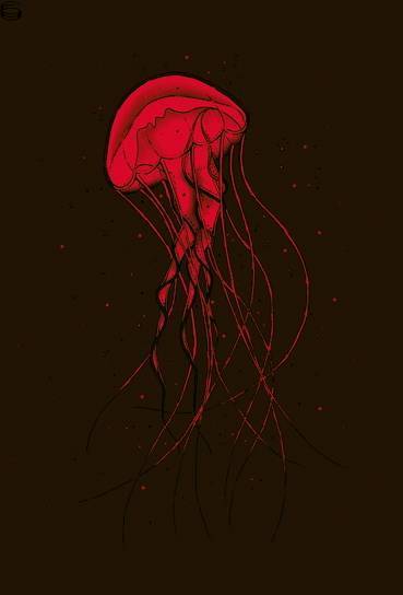 Jellyfish 09