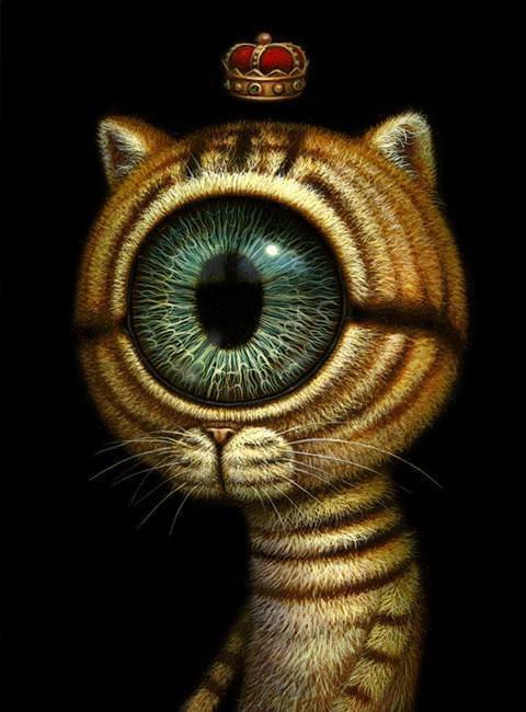 King Eyecat