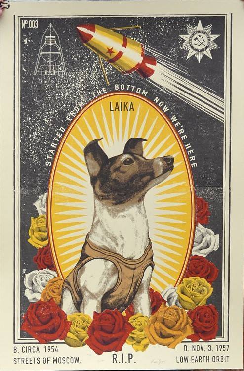 Laika 15