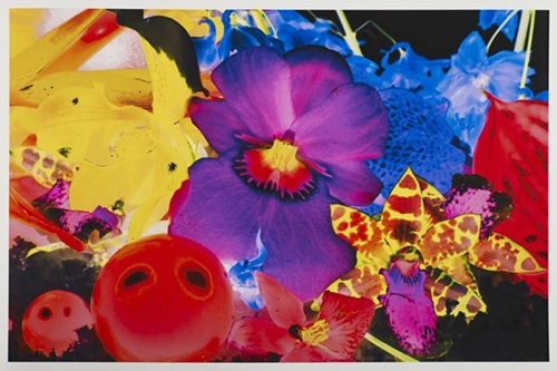 Marc Quinn - Lavinia Plantia - First Edition