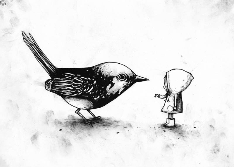 Dran - Learning to Fly
