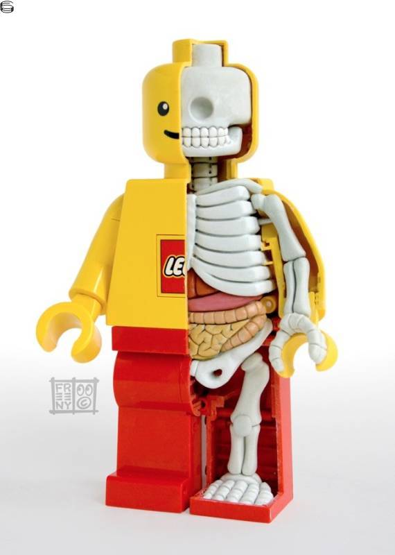 LEGO Mini Figure Anatomy Sculpture