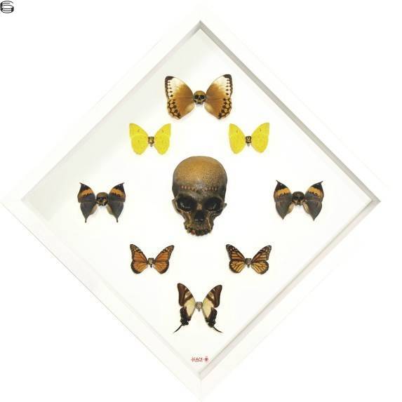 Lepidoptera Flutterdie Tray Set