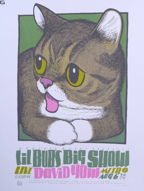 Lil Bub's Big Show Chicago 14