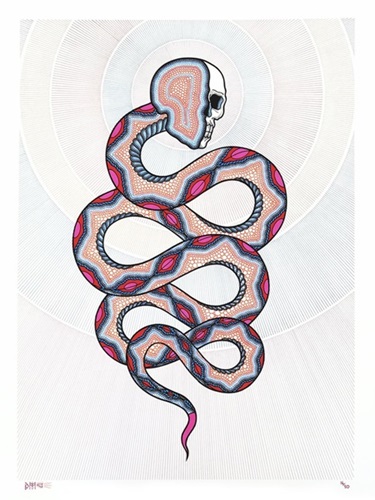 David Cook - Cosmic Snake II - First Edition
