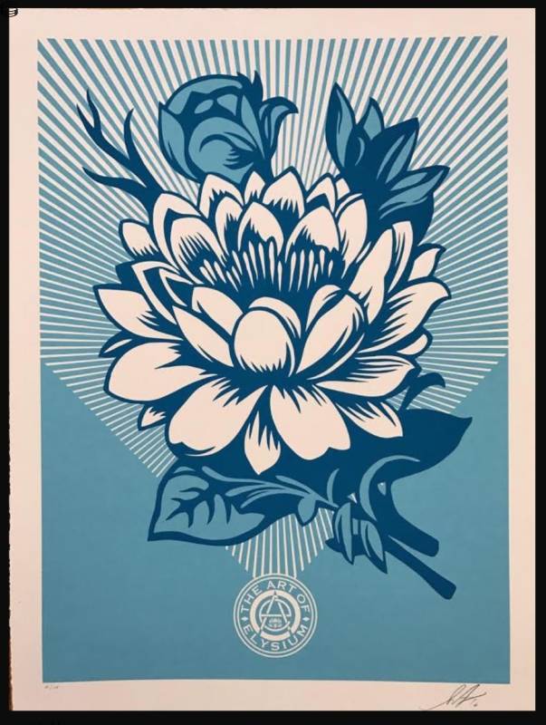 Shepard Fairey - Lotus Blossom