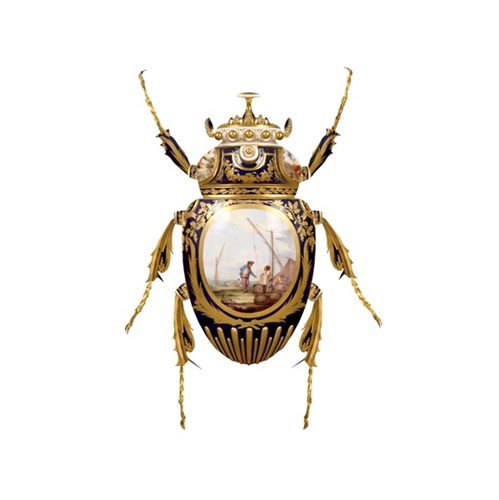 Sevres Goliathus Scarabaeidae