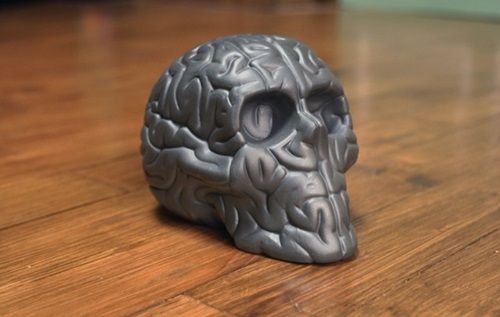 Skull Brain