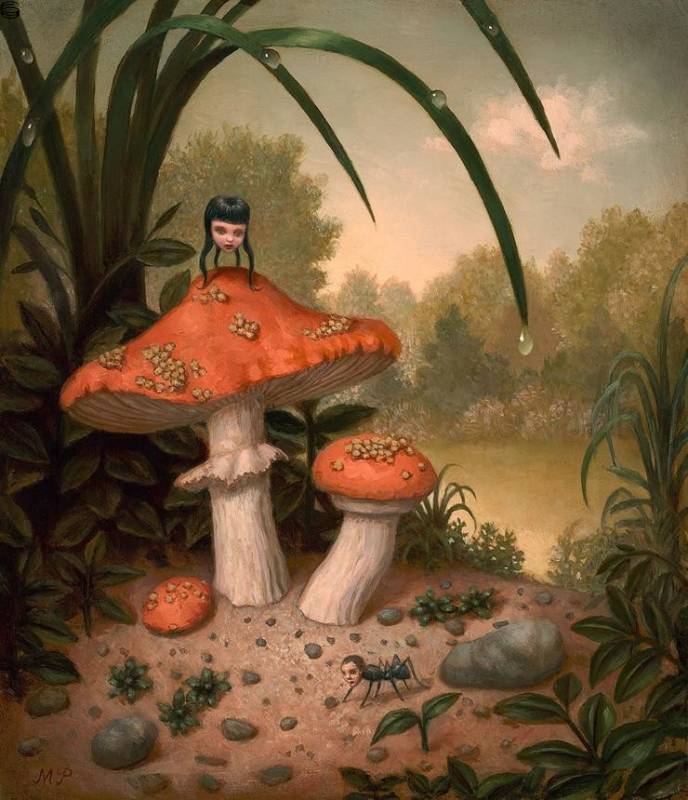 Marion Peck - Mushrooms and Dew Drops