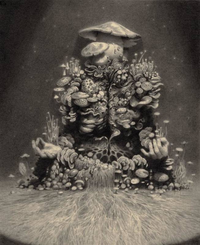 Miles Johnston - Mycelial Man - Print Edition
