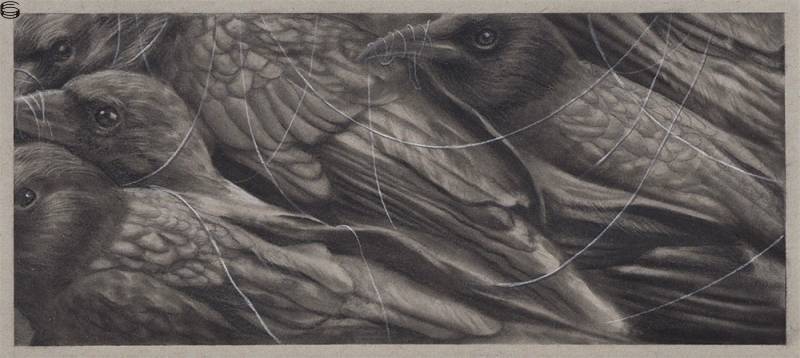Randy Ortiz - Natura Nihil Frustra Facit