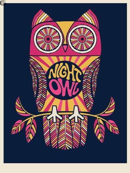 Night Owl 15