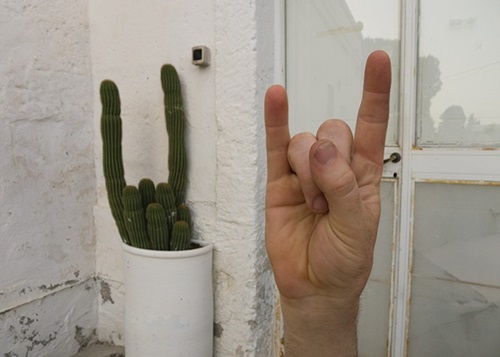 Hand Cactus