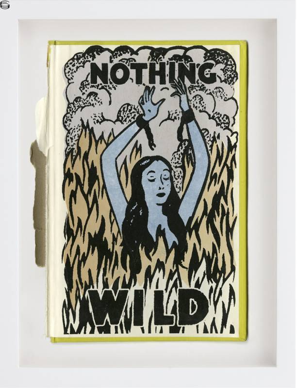 Nothing Wild Book Cover