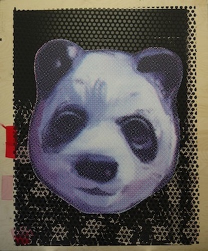 Panda Experimental Series