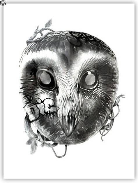 Owl 11