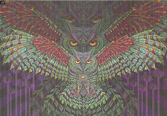 Owl