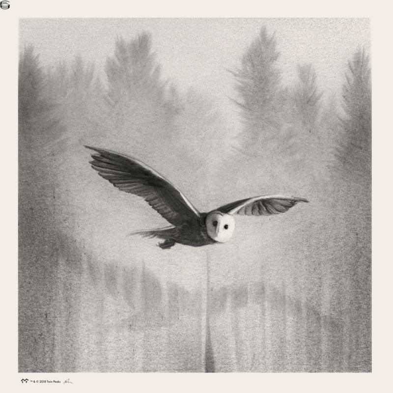 Greg Ruth - Owl