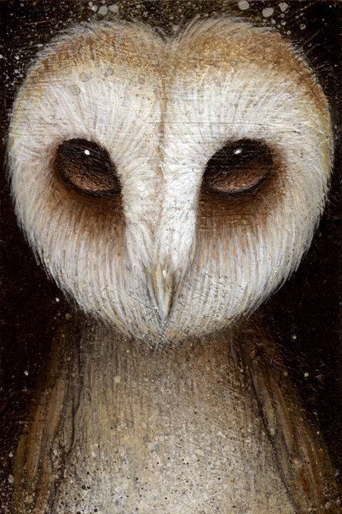 Owl Portrait 2