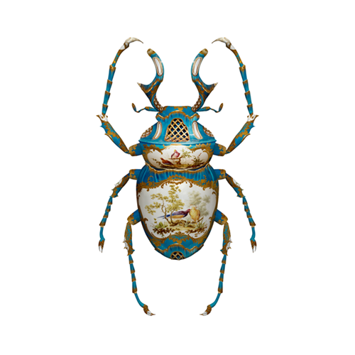 Sevres Dicranocephalus Wallichii