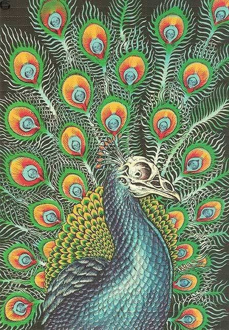 Peacock