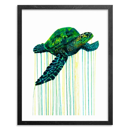 Hawksbill