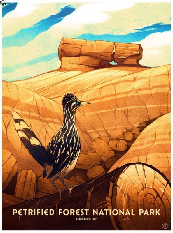 Kevin Hong - Petrified Forest National Park - Standard Edition
