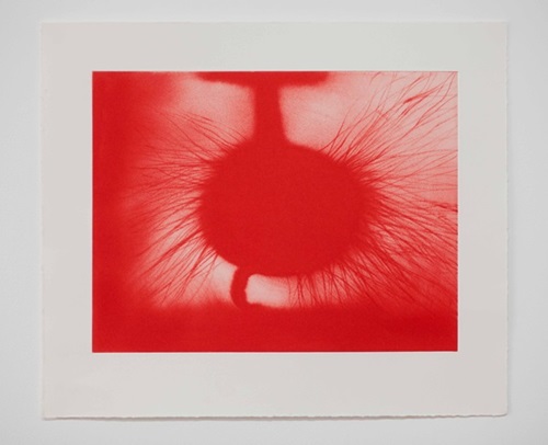 Anish Kapoor - Untitled - First Edition