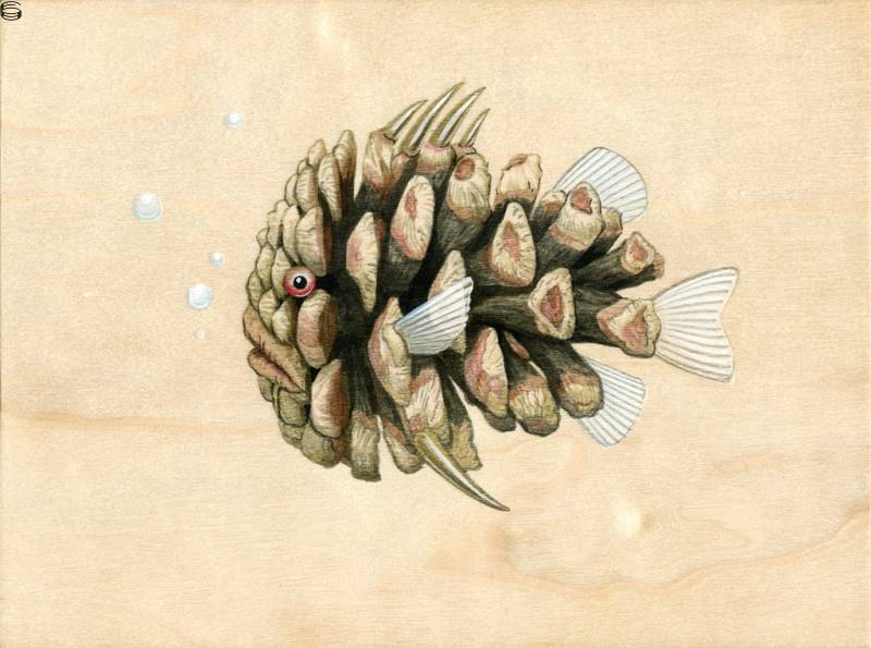 Pinecone Fish