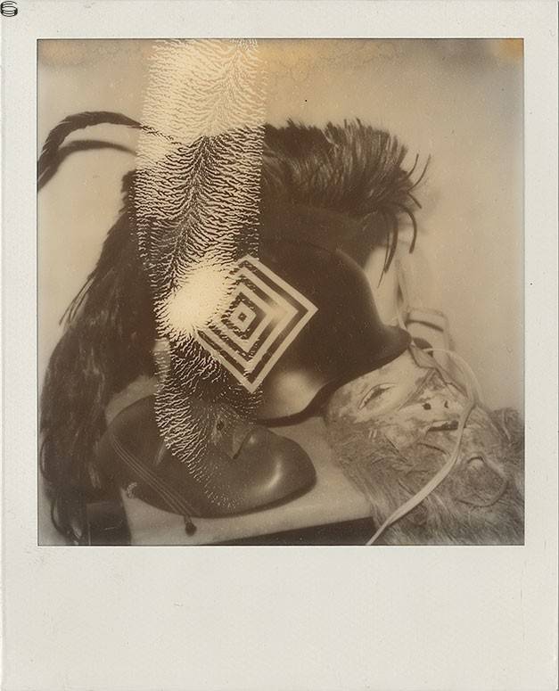 Polaroid I