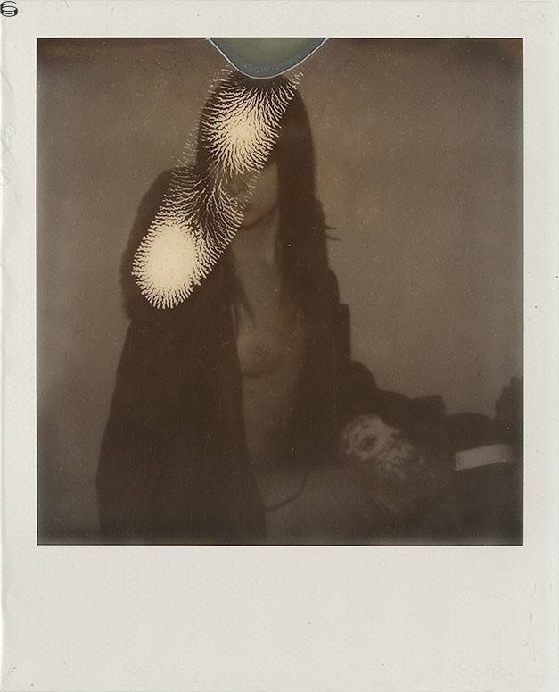 Polaroid XI