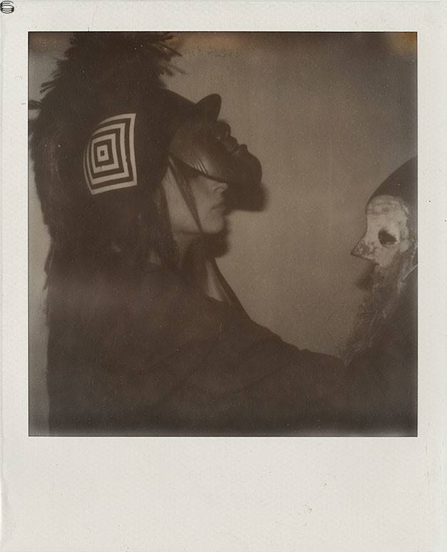 Polaroid XVII