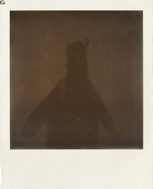 Polaroid XXII