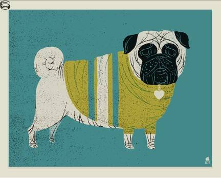 Pug in a Sweater 15