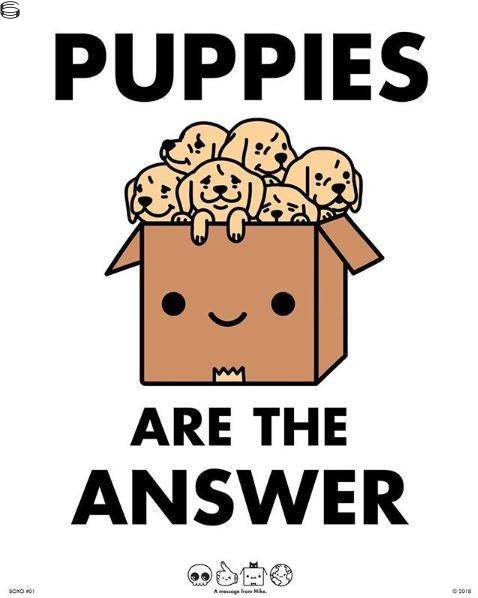 Mike Mitchell - Puppies Are The Answer