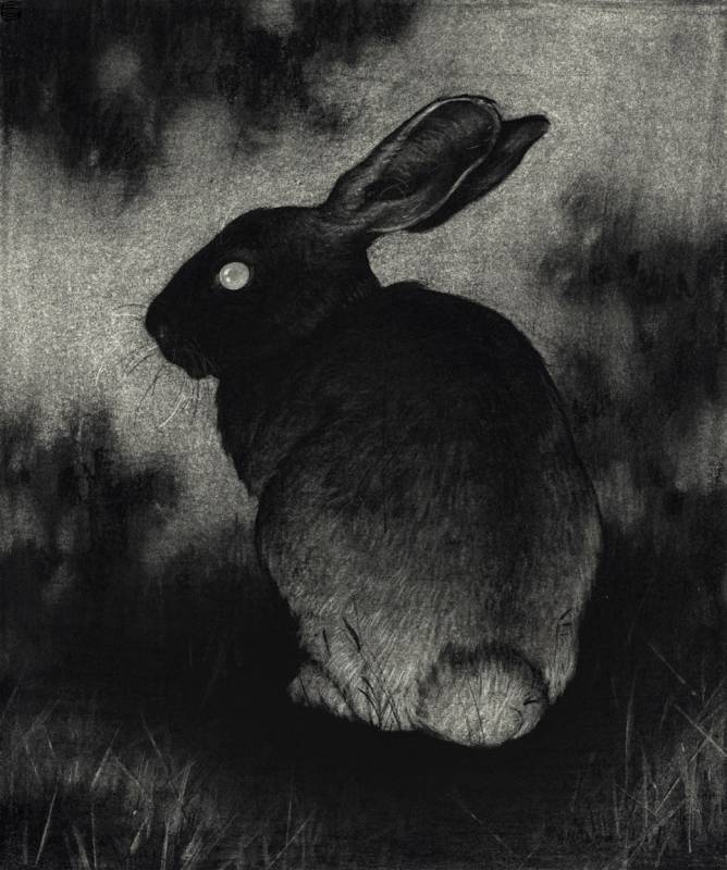 Sam Wolfe Connelly - Rabbit - Print Edition