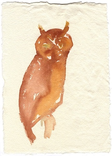 Mountain Owl