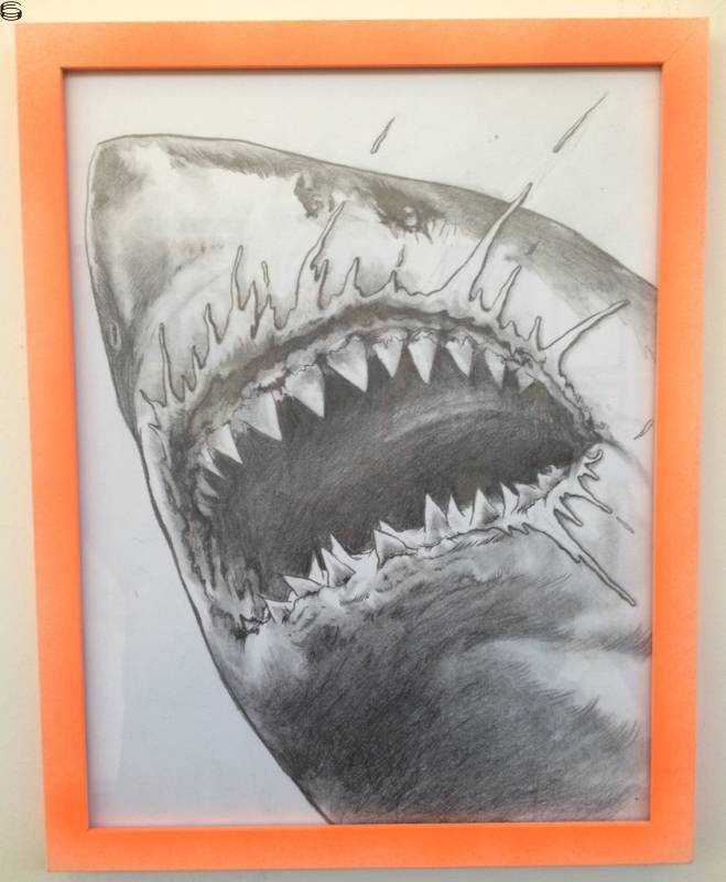 Sharknado Front